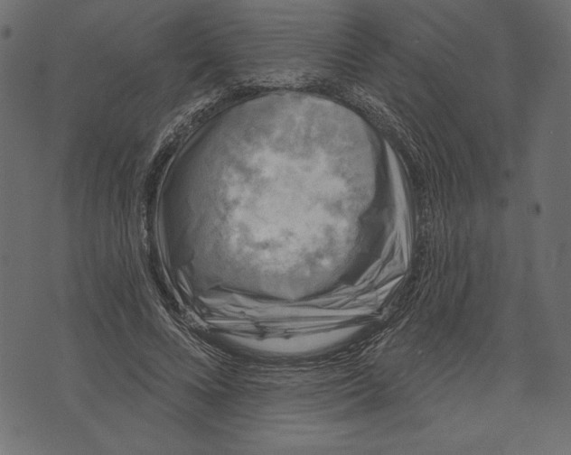 X0000072920688200608181251
