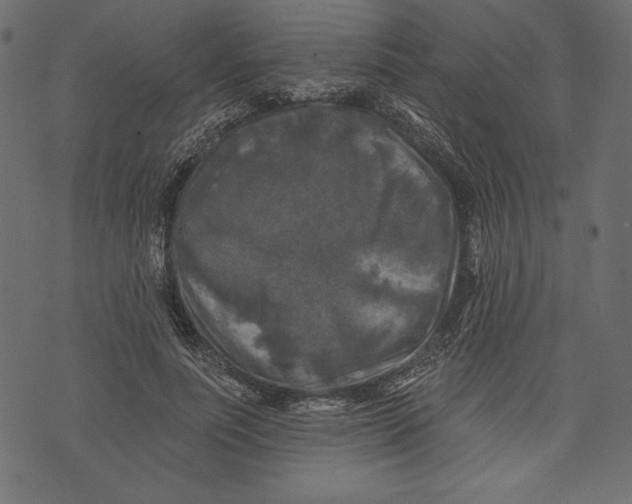 X0000072920691200608181251
