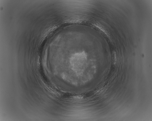 X0000072920692200608181251