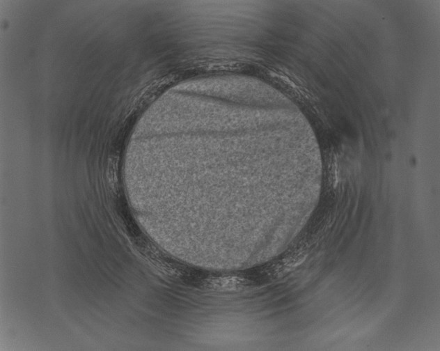 X0000072920695200608181251