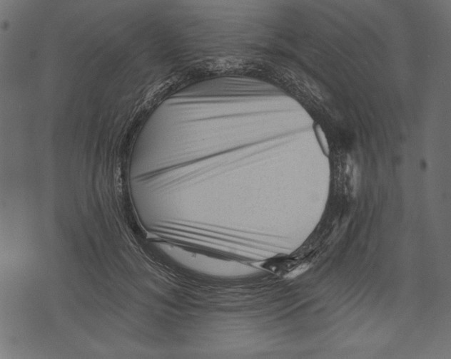 X0000072920700200608181251