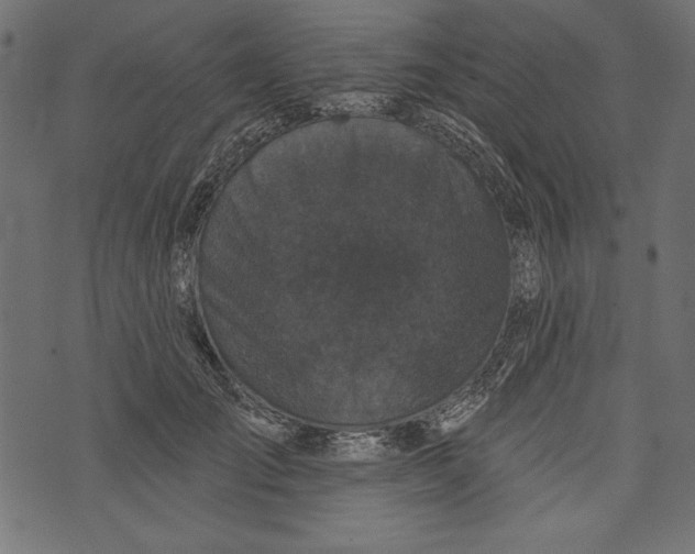 X0000072920701200608181251