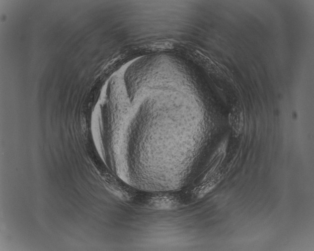 X0000072920704200608181251