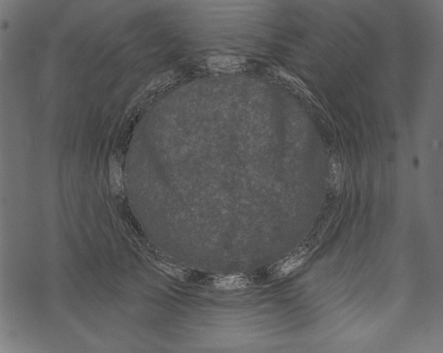 X0000072920705200608181251