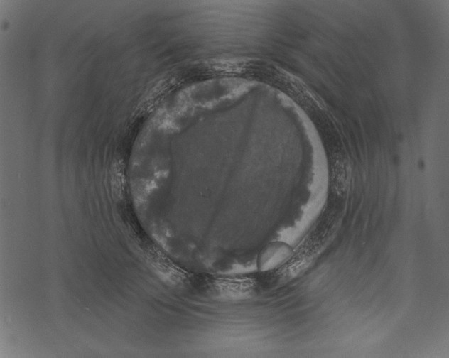X0000072920707200608181251