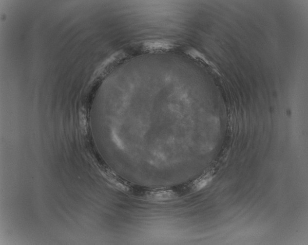 X0000072920716200608181251