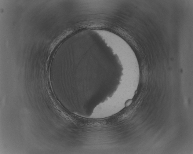 X0000072920721200608181250
