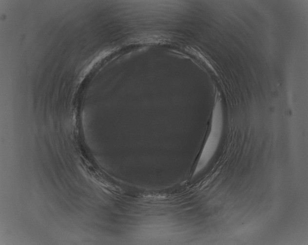 X0000072920723200608181250