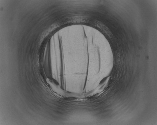 X0000072920727200608181250