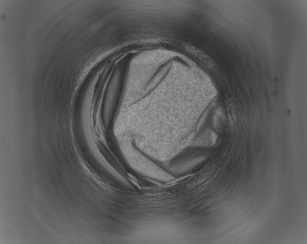 X0000072920728200608181250
