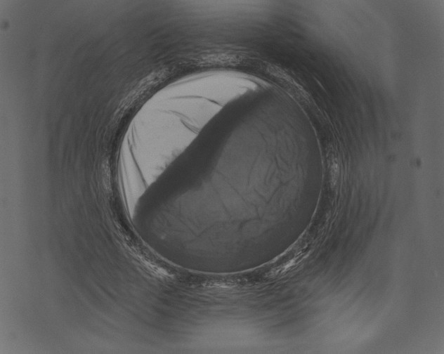 X0000072920729200608181250