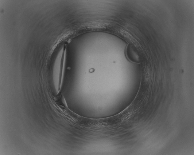 X0000072920731200608181250