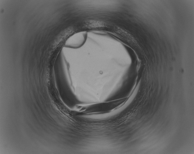 X0000072920732200608181250