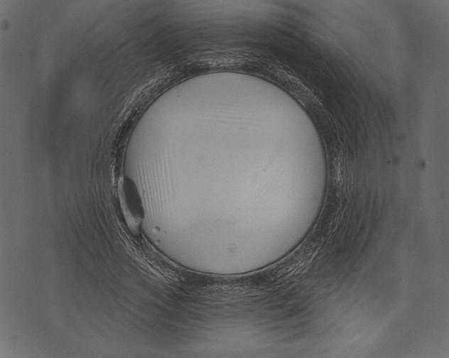 X0000072920733200608181250