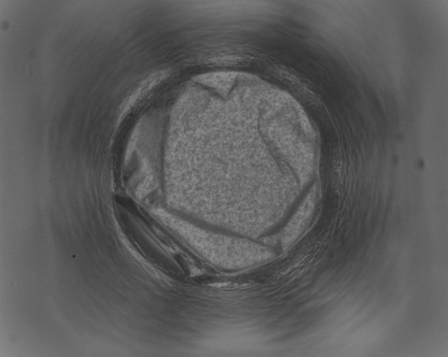 X0000072920734200608181250