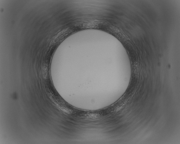 X0000072920741200608181250
