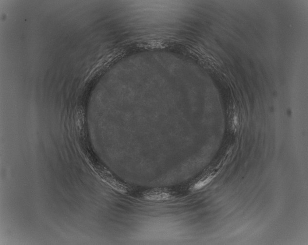 X0000072920747200608181250