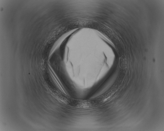 X0000072920750200608181250