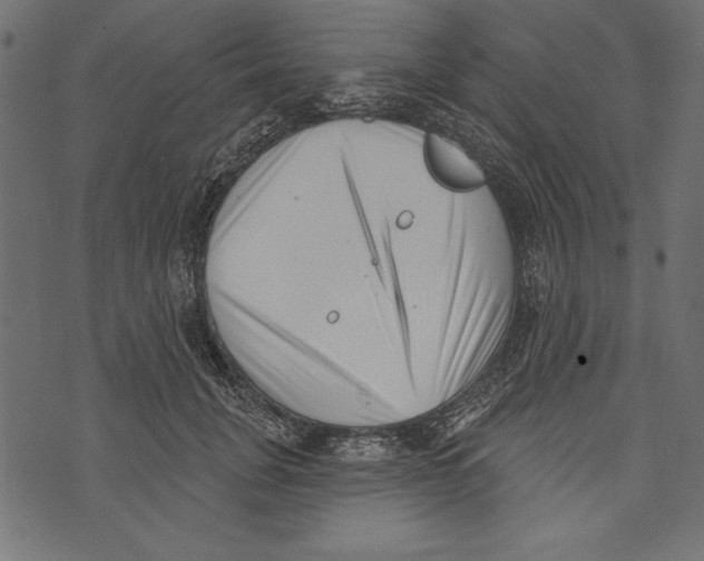 X0000072920751200608181250