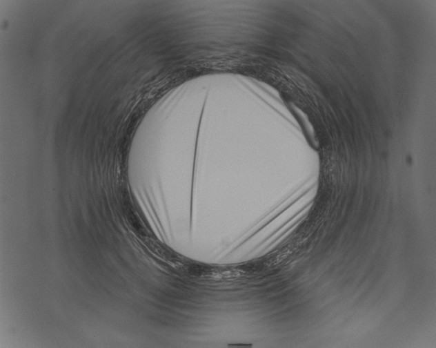 X0000072920752200608181250