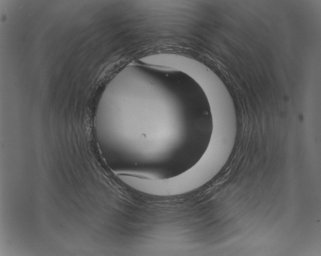 X0000072920762200608181251