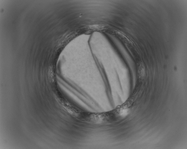 X0000072920764200608181251