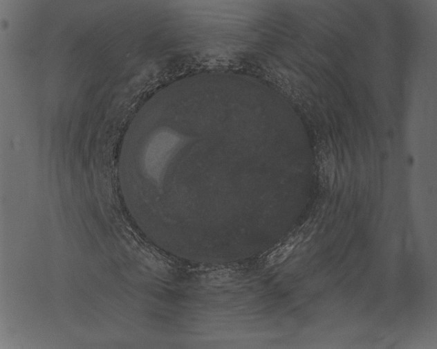 X0000072920769200608181250