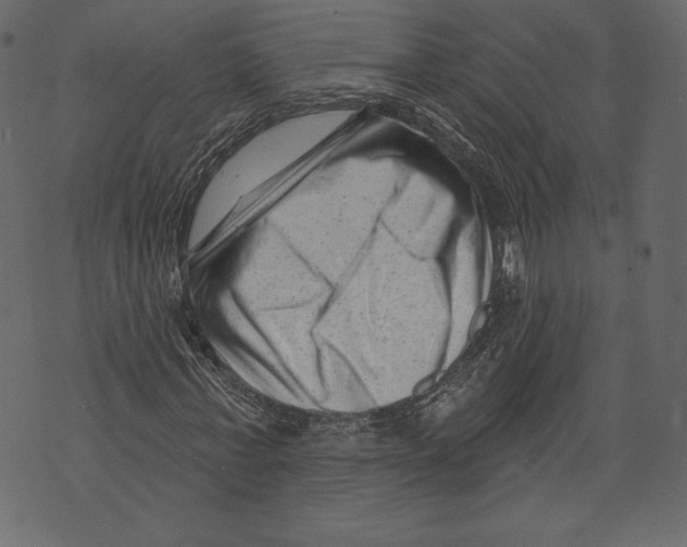 X0000072920771200608181250