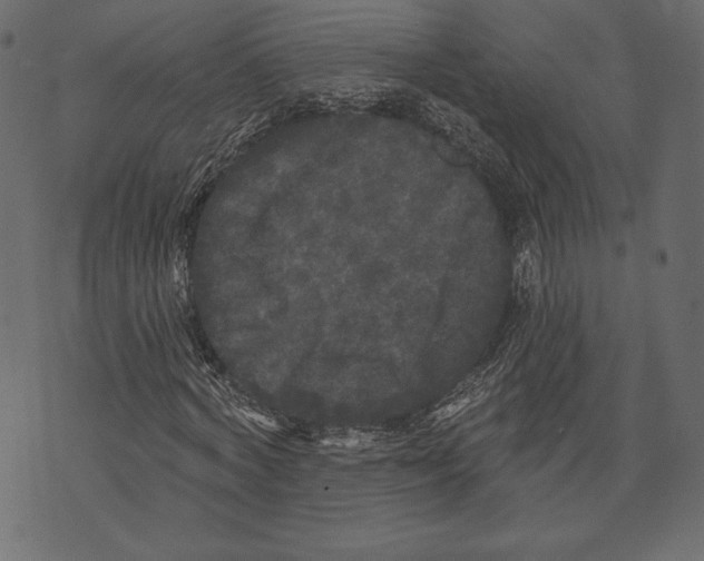X0000072920772200608181250