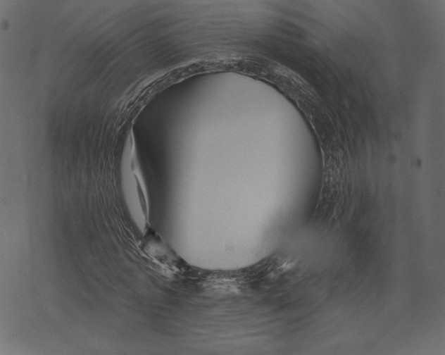 X0000072920773200608181250