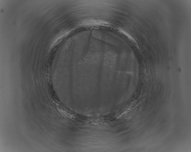 X0000072920775200608181250