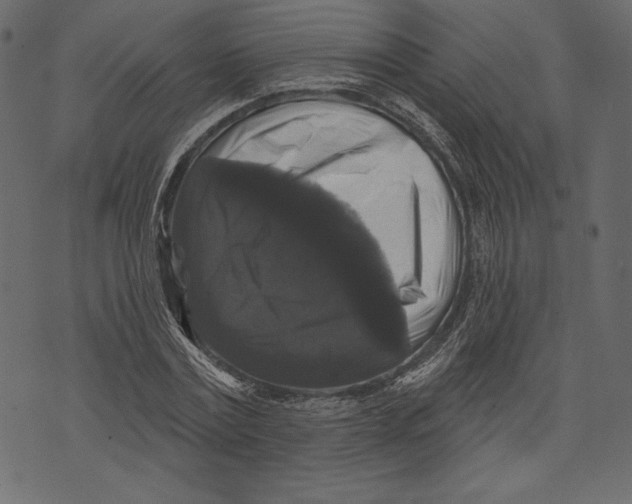 X0000072920779200608181250