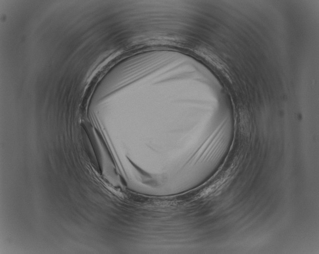 X0000072920782200608181250