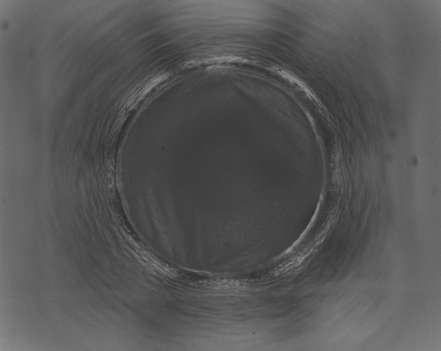 X0000072920785200608181250