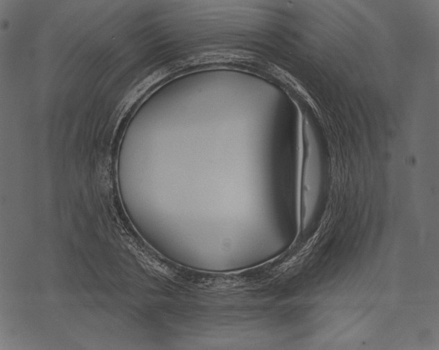 X0000072920786200608181250