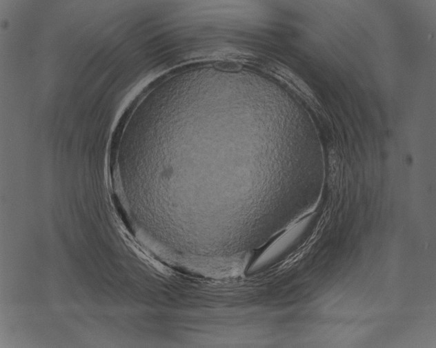 X0000072920788200608181250