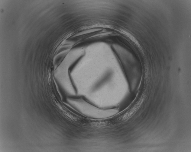 X0000072920793200608181250