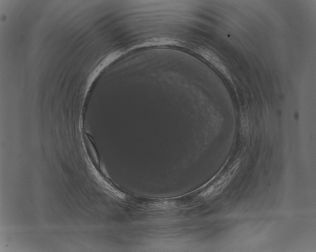 X0000072920797200608181249