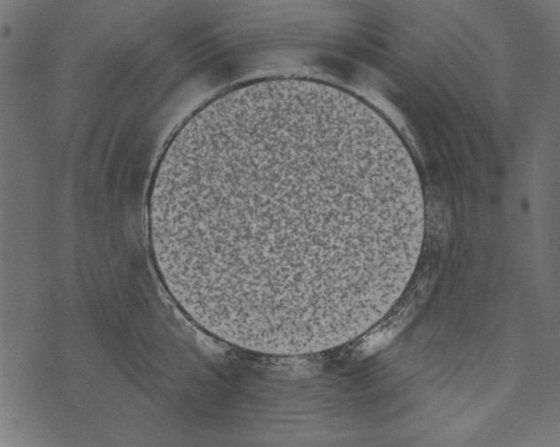 X0000072920807200608181249
