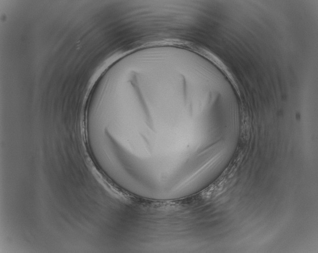 X0000072920811200608181249