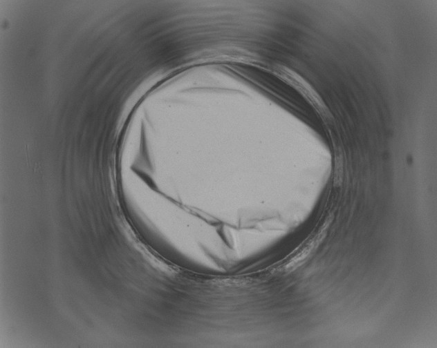 X0000072920812200608181249