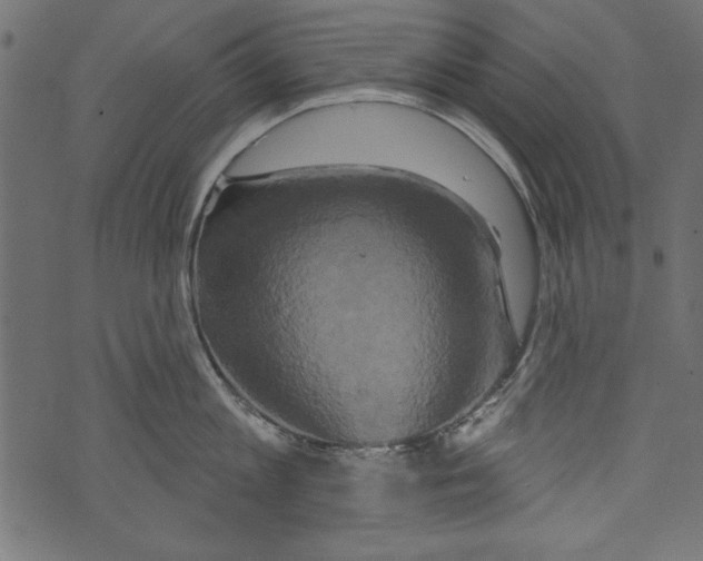 X0000072920813200608181249