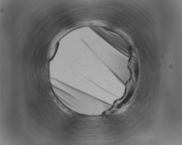 X0000072920816200608181249