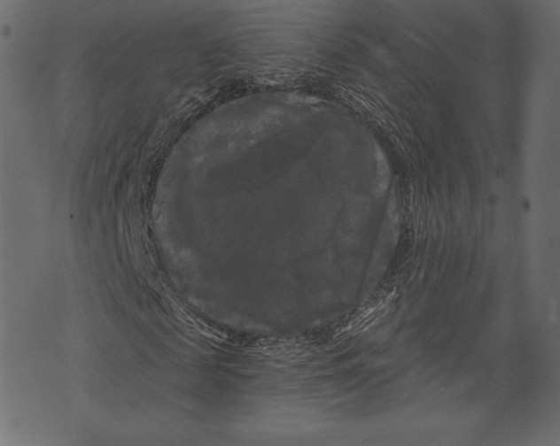 X0000072920817200608181248