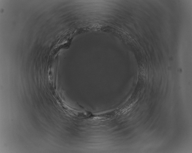 X0000072920818200608181248