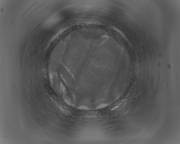X0000072920823200608181248