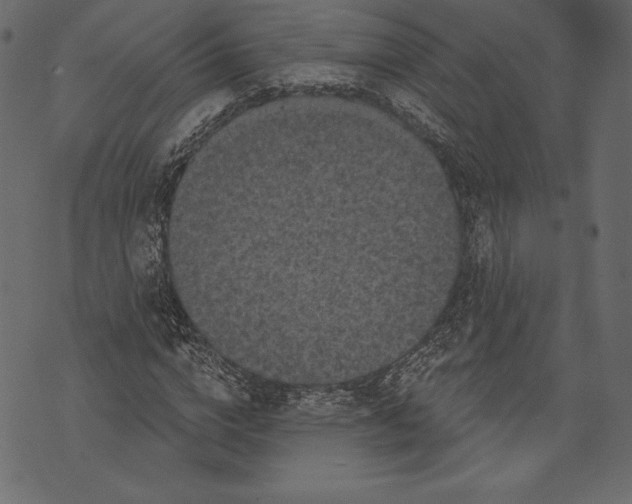 X0000072920824200608181249