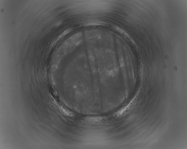X0000072920825200608181249