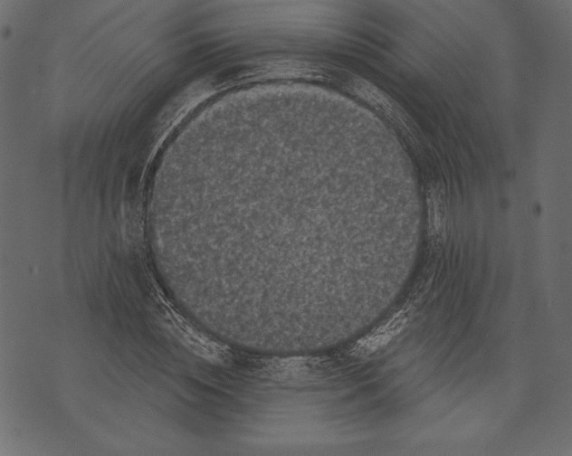 X0000072920828200608181249