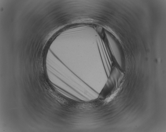 X0000072920830200608181249